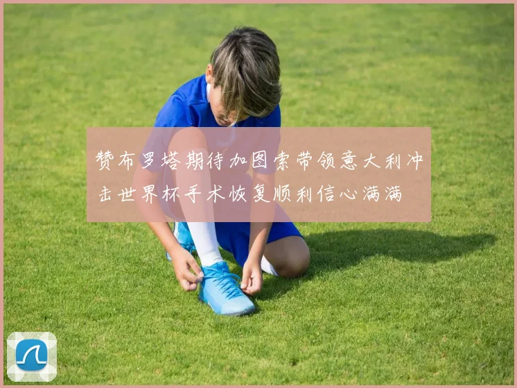 赞布罗塔期待加图索带领意大利冲击世界杯手术恢复顺利信心满满