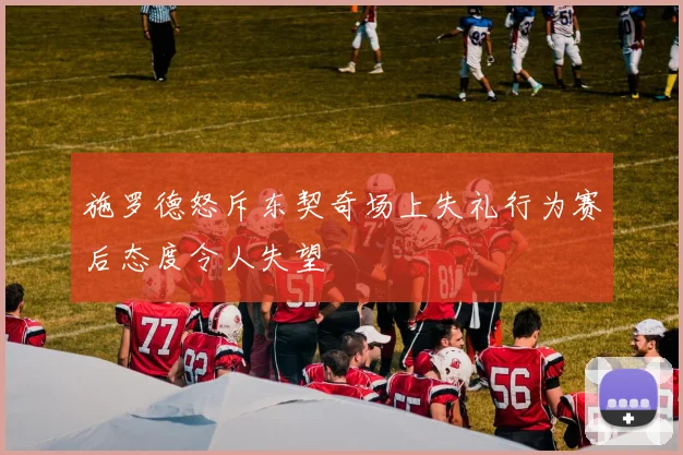 施罗德怒斥东契奇场上失礼行为赛后态度令人失望