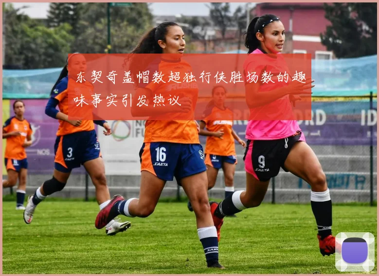 东契奇盖帽数超独行侠胜场数的趣味事实引发热议