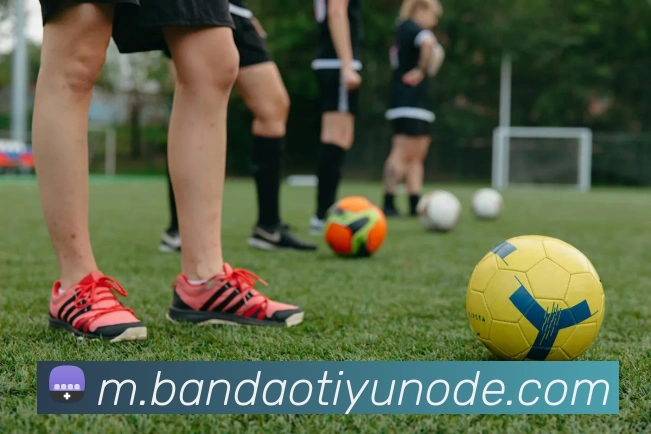 半岛体育平台生态图