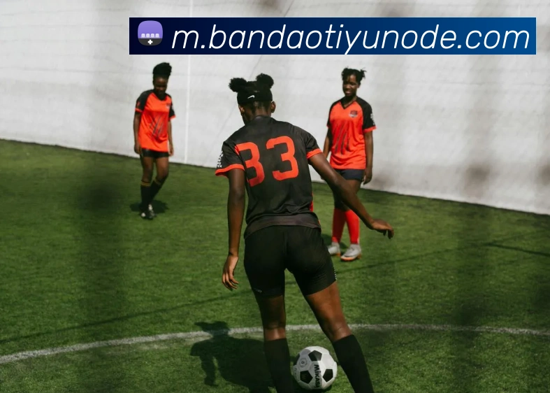 半岛体育APP 封面图